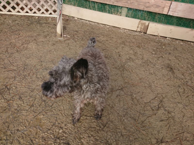 f:id:roukenhome-ann:20190122184150j:plain
