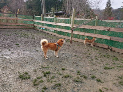 f:id:roukenhome-ann:20190122184322j:plain
