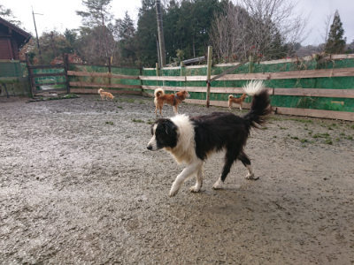 f:id:roukenhome-ann:20190122184355j:plain