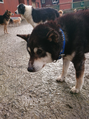 f:id:roukenhome-ann:20190122184444j:plain