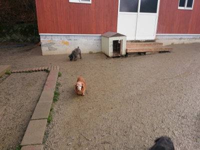 f:id:roukenhome-ann:20190122184532j:plain