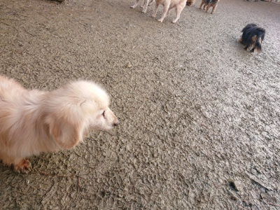 f:id:roukenhome-ann:20190122184548j:plain
