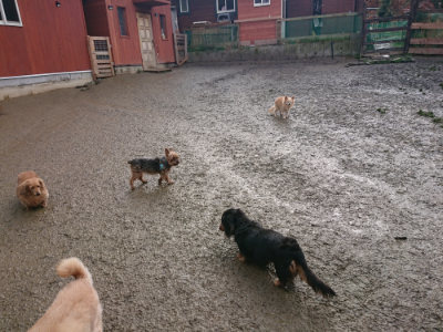 f:id:roukenhome-ann:20190122184605j:plain