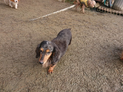 f:id:roukenhome-ann:20190122184616j:plain