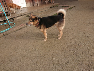 f:id:roukenhome-ann:20190122184627j:plain