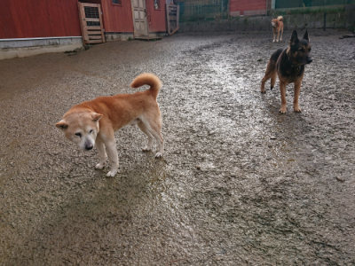 f:id:roukenhome-ann:20190122184653j:plain