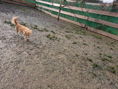 f:id:roukenhome-ann:20190122184943j:plain