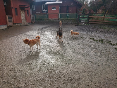 f:id:roukenhome-ann:20190122185018j:plain