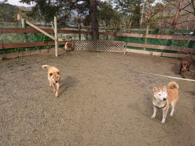 f:id:roukenhome-ann:20190122185113j:plain