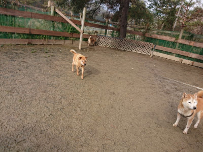 f:id:roukenhome-ann:20190122185147j:plain
