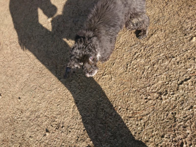 f:id:roukenhome-ann:20190122185304j:plain