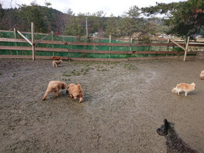 f:id:roukenhome-ann:20190122185321j:plain