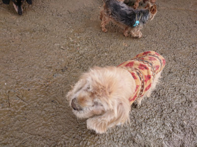 f:id:roukenhome-ann:20190122185339j:plain