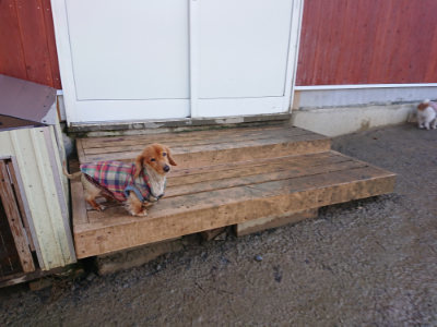 f:id:roukenhome-ann:20190122193305j:plain