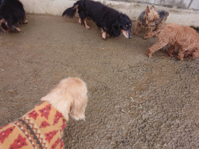 f:id:roukenhome-ann:20190122193411j:plain