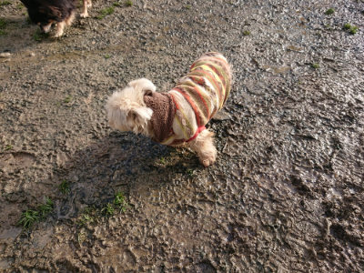 f:id:roukenhome-ann:20190122193618j:plain