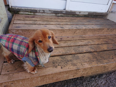 f:id:roukenhome-ann:20190122193653j:plain