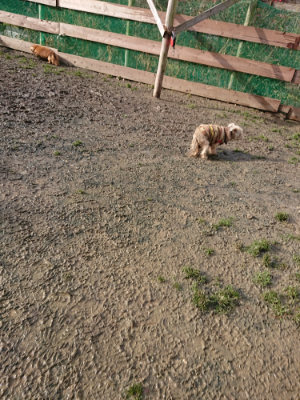 f:id:roukenhome-ann:20190122194127j:plain