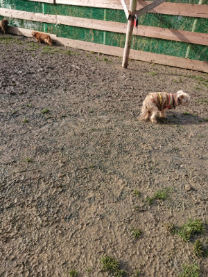 f:id:roukenhome-ann:20190122194148j:plain