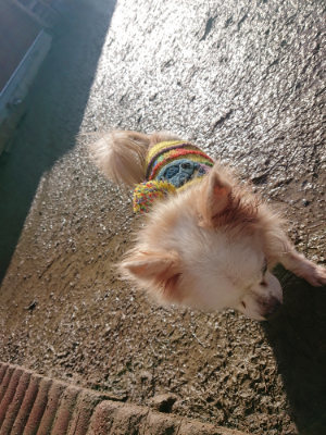 f:id:roukenhome-ann:20190122194159j:plain