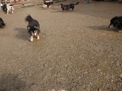 f:id:roukenhome-ann:20190122194204j:plain