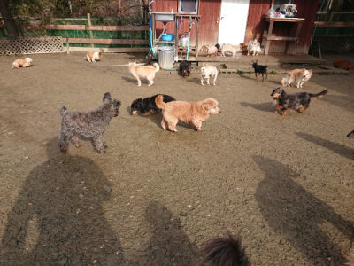 f:id:roukenhome-ann:20190122194209j:plain