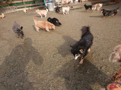 f:id:roukenhome-ann:20190122194228j:plain