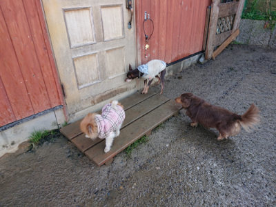 f:id:roukenhome-ann:20190122194403j:plain