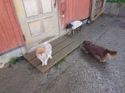 f:id:roukenhome-ann:20190122194445j:plain