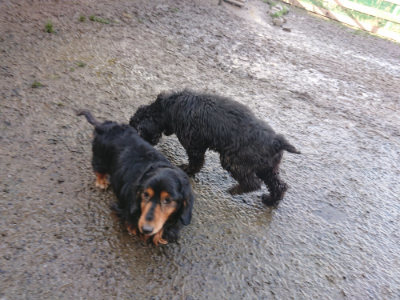 f:id:roukenhome-ann:20190122194540j:plain