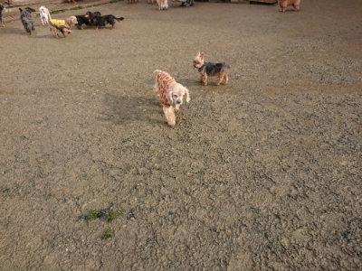 f:id:roukenhome-ann:20190122194613j:plain