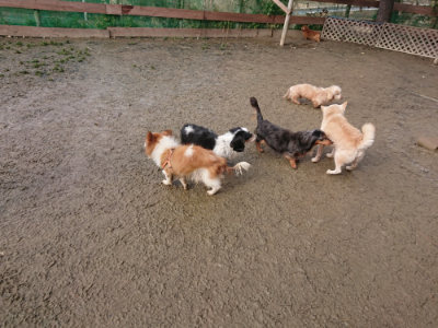f:id:roukenhome-ann:20190123052749j:plain