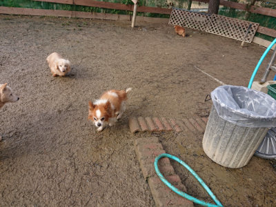 f:id:roukenhome-ann:20190123052759j:plain