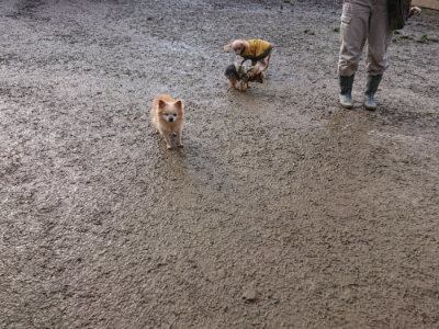 f:id:roukenhome-ann:20190123052804j:plain