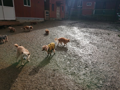f:id:roukenhome-ann:20190123052813j:plain