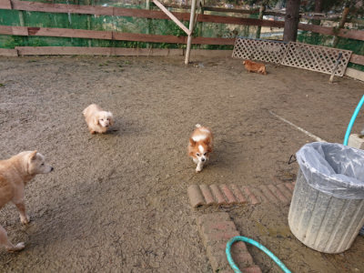 f:id:roukenhome-ann:20190123052818j:plain