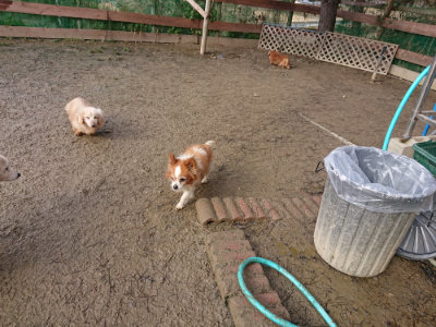 f:id:roukenhome-ann:20190123052833j:plain