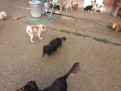f:id:roukenhome-ann:20190123052838j:plain