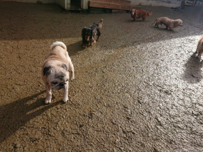 f:id:roukenhome-ann:20190123052903j:plain