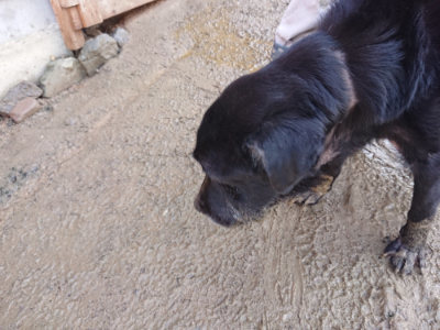 f:id:roukenhome-ann:20190123052941j:plain