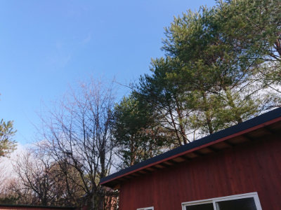 f:id:roukenhome-ann:20190123052955j:plain