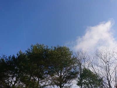 f:id:roukenhome-ann:20190123053021j:plain