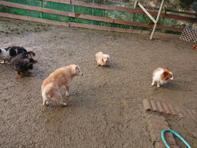f:id:roukenhome-ann:20190123053035j:plain