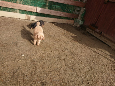 f:id:roukenhome-ann:20190123053051j:plain