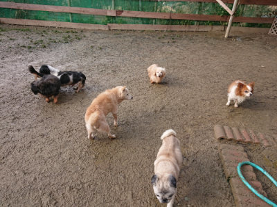 f:id:roukenhome-ann:20190123053057j:plain
