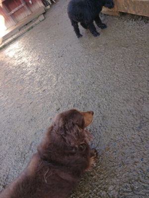 f:id:roukenhome-ann:20190123053134j:plain