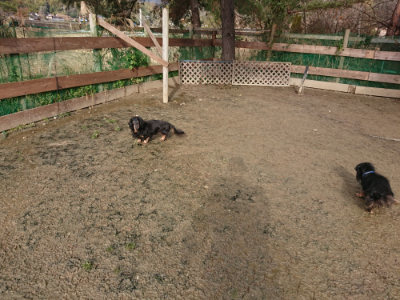 f:id:roukenhome-ann:20190123053150j:plain