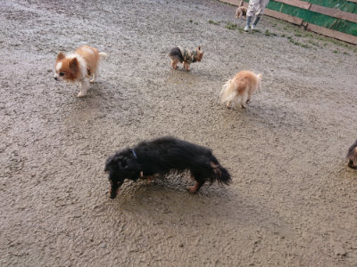 f:id:roukenhome-ann:20190123053443j:plain