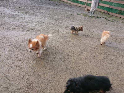 f:id:roukenhome-ann:20190123053448j:plain