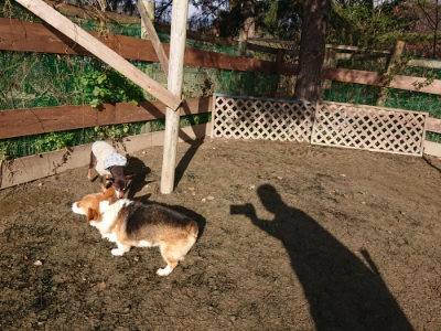 f:id:roukenhome-ann:20190123053631j:plain
